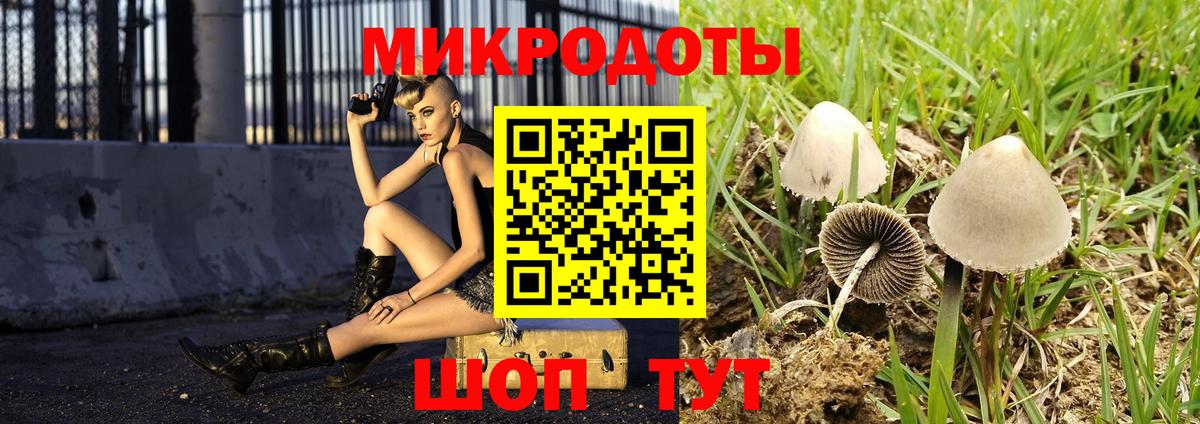 Галлюциногенные грибы мухоморы Усть-Илимск